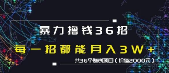 蜘蛛火暴力撸钱36招，共36个赚钱项目价值2000元