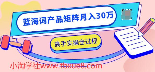 2020最新无货源店群项目，蓝海词产品矩阵月入30万，高手实操全过程（视频教程）