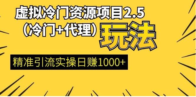 虚拟冷门资源项目（冷门及代理玩法） 精准引流实操日赚1000+(完结)