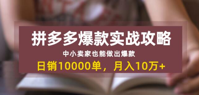 拼多多爆款实战攻略：中小卖家也能做出爆款，日销10000单月入10w+