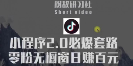 树敌研习社6月抖音赚钱课程：抖音小程序2.0必爆套路零粉无橱窗日赚百元玩法