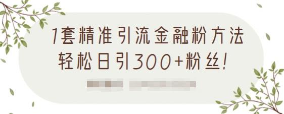 1套精准引流金融粉方法，轻松日引300+粉丝