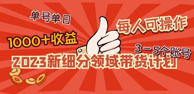 2023新细分区域投放计划：单号每天1000不难赚，每人可操作3-5个账号