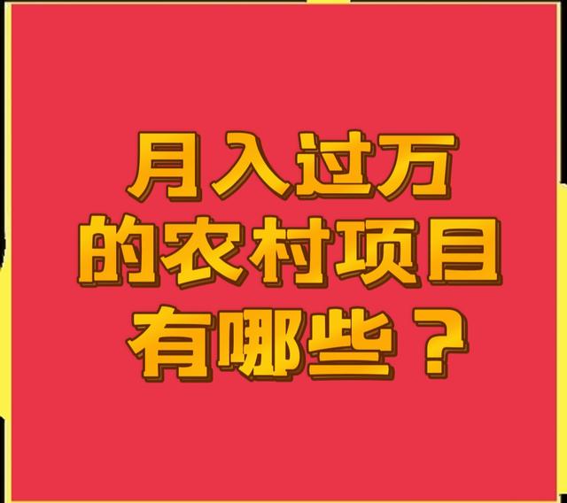 细看就会（在贫困地区创业者好工程项目包某）贫困地区好工程项目，撷取几个月收入万，但投资数额并不大的贫困地区工程项目，想挣钱的别忘了！，