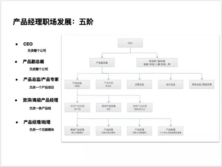 学会这6个办公软件，让你升职加薪不是问题