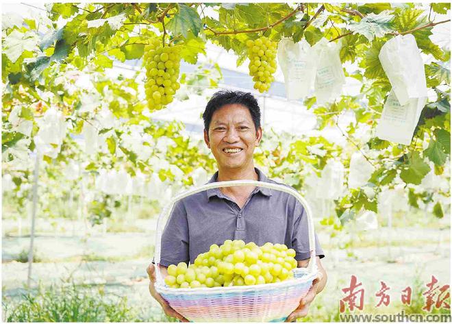 湖南卫视《天天向上》“青春唱响中国梦”献礼国庆特辑继续播出