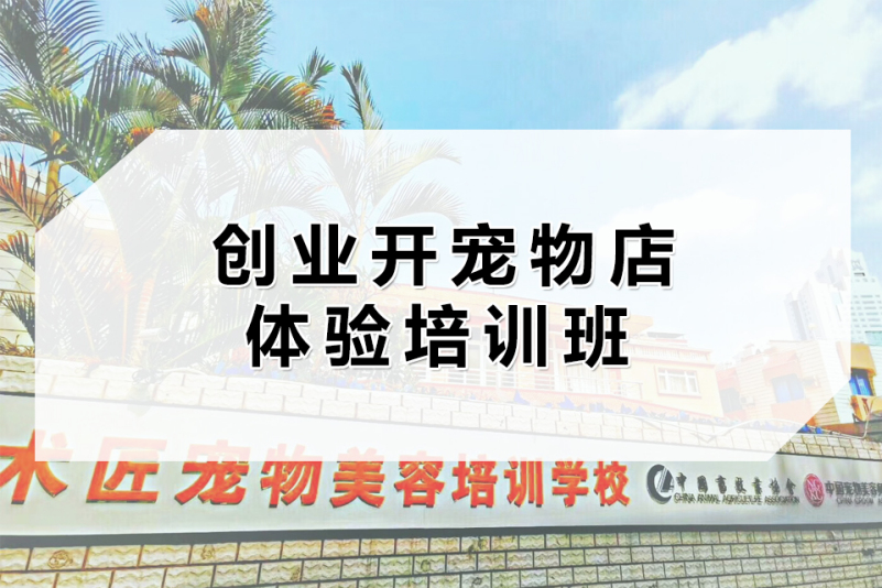 2023年推荐!宠物护理店加盟