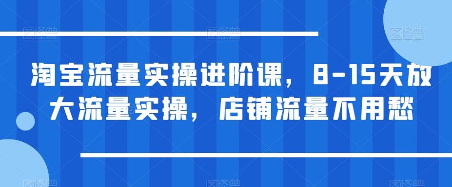 淘宝流量实操进阶课，8-15天放大流量实操，店铺流量不用愁