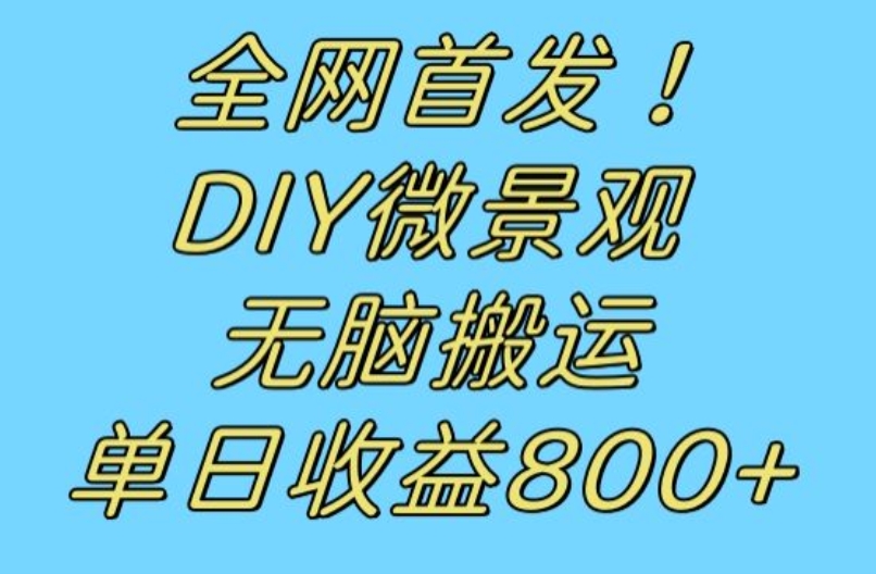 全网首发冷门赛道！DIY微景观，无脑搬运视频，日收益800+【揭秘】