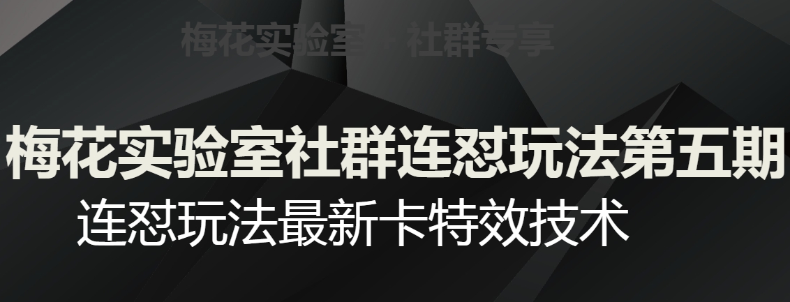 梅花实验室社群连怼玩法第五期，视频号连怼玩法最新卡特效技术