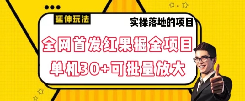 全网首发红果免费短剧掘金项目，单机30+可批量放大【揭秘】