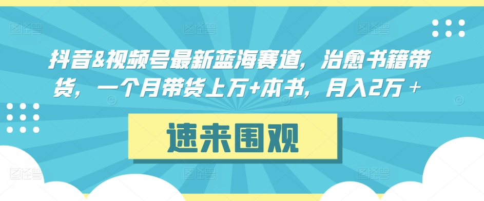 抖音&视频号最新蓝海赛道，治愈书籍带货，一个月带货上万+本书，月入2万＋【揭秘】