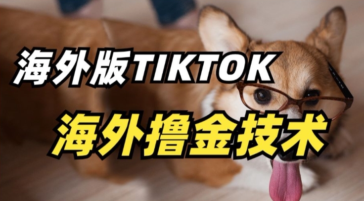 抖音海外版tiktok撸金技术，这个风口行业，赚钱真的不难【揭秘】