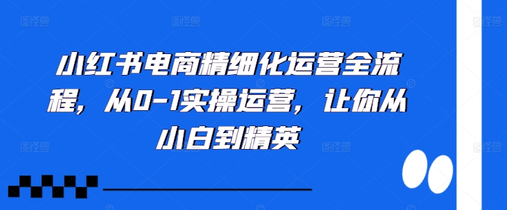 小红书电商精细化运营全流程，从0-1实操运营，让你从小白到精英